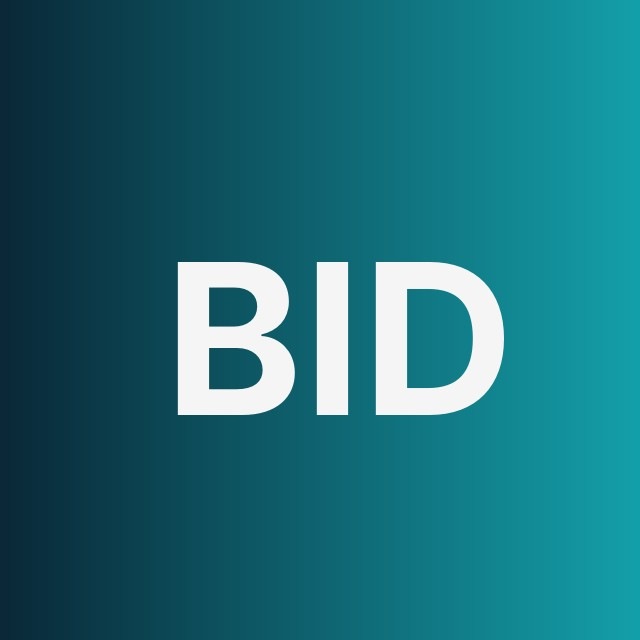 Bid Optimization
