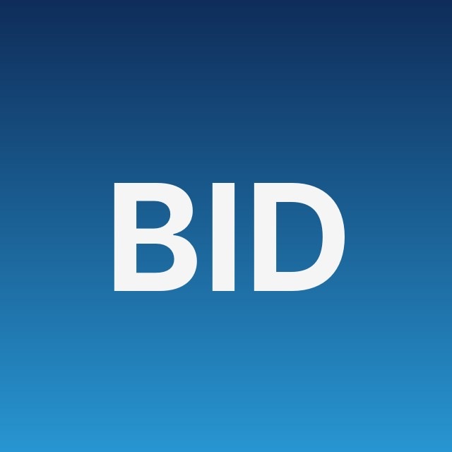 📈 Bid Strategy