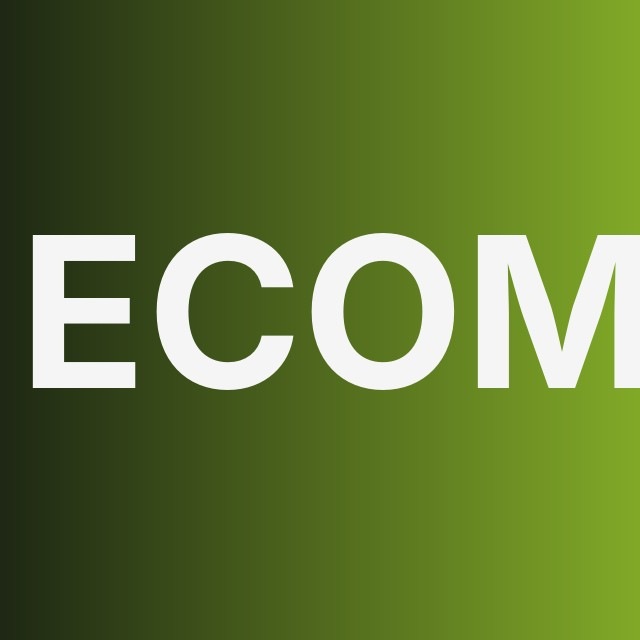 🛒 Ecom CPA