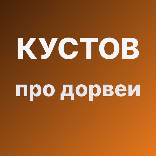 Кустов про дорвеи