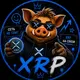 XRP / Ripple