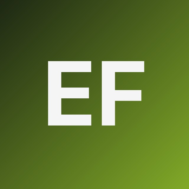 ⚡ Elementor Fast